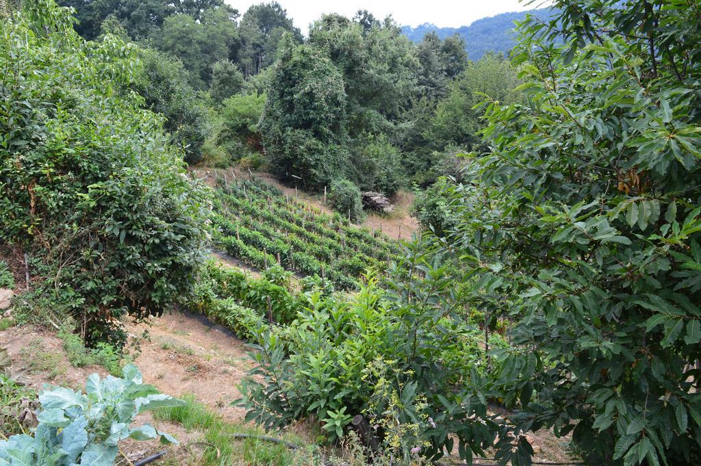 Agriturismo E Turre Serrastretta Extérieur photo